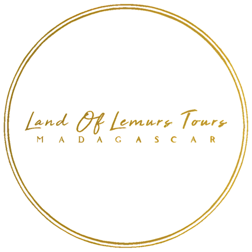 Land of Lemurs Tours